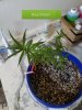 20170621_204327.jpg