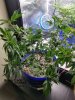 20170706_232036.jpg