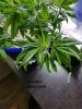 20170706_232045.jpg