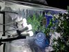 20170706_232104.jpg