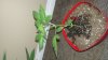 20170708_140118.jpg
