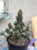 9-29-12 RRF 002.jpg