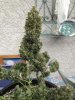 9-29-12 RRF 004.jpg