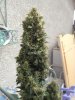 9-29-12 RRF 007.jpg