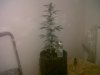 IMG00338-20121001-1937.jpg