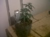 IMG00344-20121001-1943.jpg