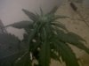 IMG00345-20121001-1943.jpg