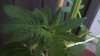 WP_20170712_18_44_27_Pro.jpg
