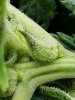 20170713_092411.jpg