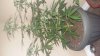 20170713_163017.jpg