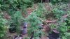 20170717_175227.jpg