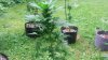 20170717_175120.jpg