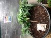 20170723_174442.jpg