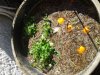 20170723_135416.jpg