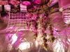 20170725_222525.jpg