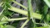 20170726_162145.jpg