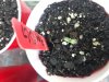 20170726_191705.jpg