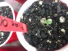 20170726_191711.jpg