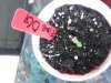 20170726_191718.jpg