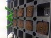 20170727_064901.jpg
