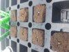 20170727_064917.jpg