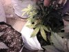 IMG_20170801_175230.jpg
