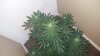 20170803_184649.jpg