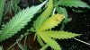 20170803_185105.jpg