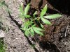 20170805_140517.jpg