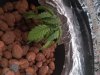 20170806_135756.jpg