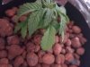 20170806_135734.jpg