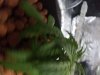 20170806_140007.jpg