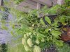 20170806_163723.jpg