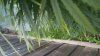 20170810_084101.jpg