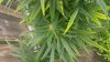 20170810_084035.jpg
