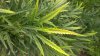 20170810_084031.jpg