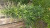 20170810_084027.jpg