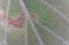 Photo on 8-14-17 at 10.49 AM #2.jpg Photo on 8-14-17 at 10.49 AM #2.jpg