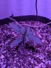 IMG_20170816_114821.jpg