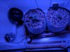 IMG_20170818_172400.jpg