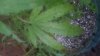 20170819_062909.jpg