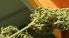 pot (13).jpg