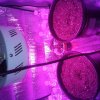 20170824_081503.jpg