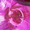 20170824_081524.jpg