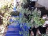 20170826_075857.jpg