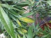 20170829_075459.jpg