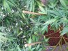 20170829_075511.jpg
