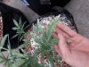 20170829_075431.jpg