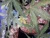 20170829_075442.jpg