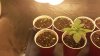 20170831_190729.jpg 20170831_190729.jpg